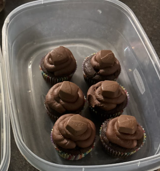 Chocolate Cupcakes